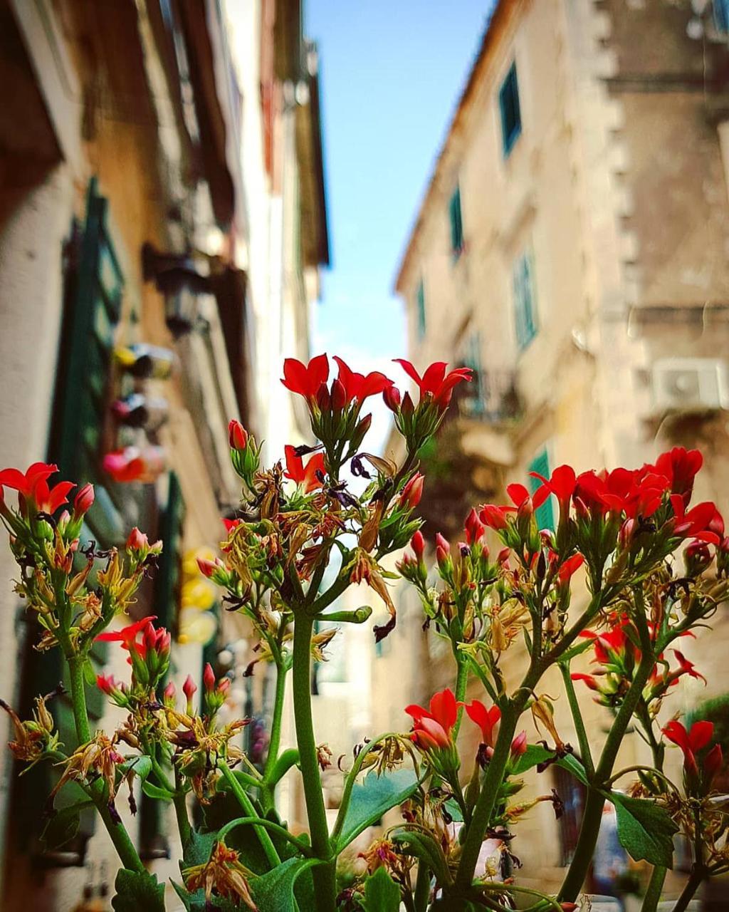 Kotor Bagus - Cozy Boutique Old Town Studio With Seaview Terrace Екстер'єр фото